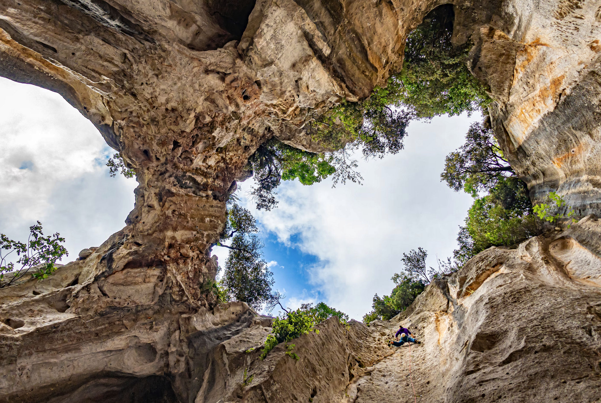 Palestra di Green Coaching