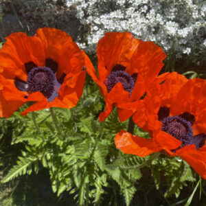 Sessioni di formazione per gestione collaboratori